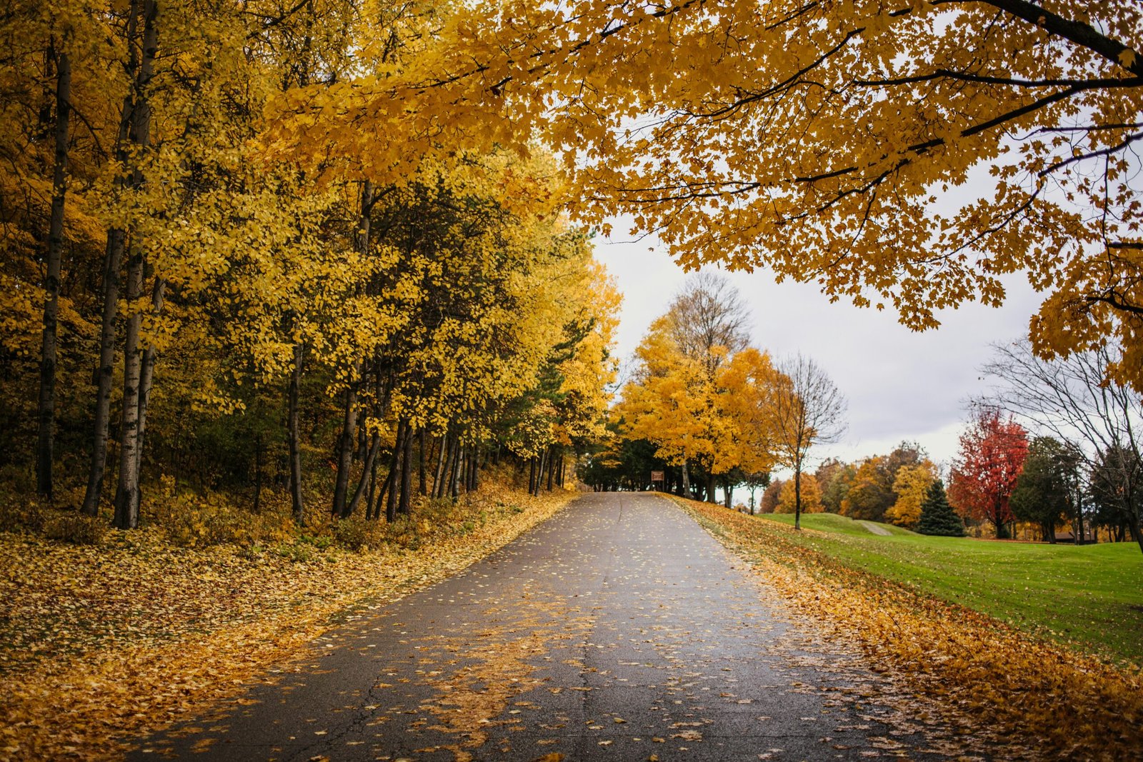 car insurance wisconsin